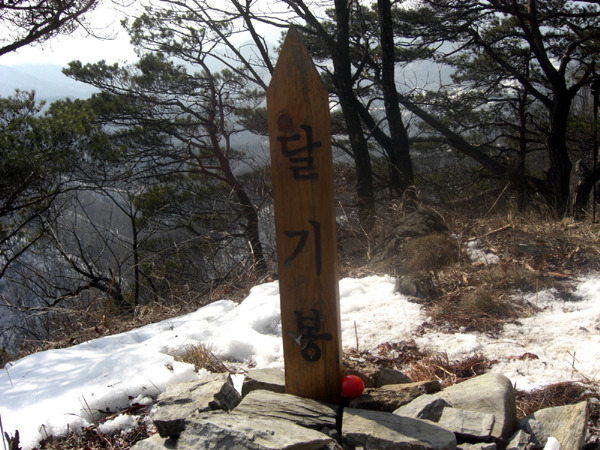 금수사 이미지