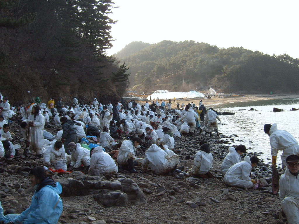 태산방제 이미지