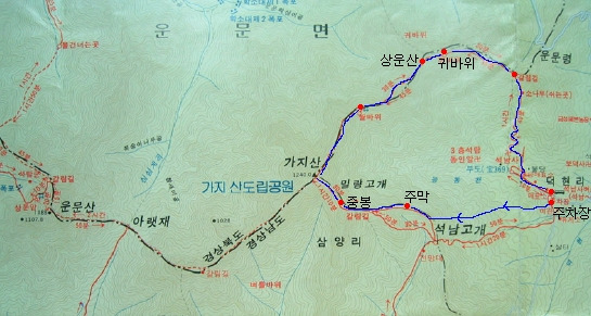 까치머리 이미지